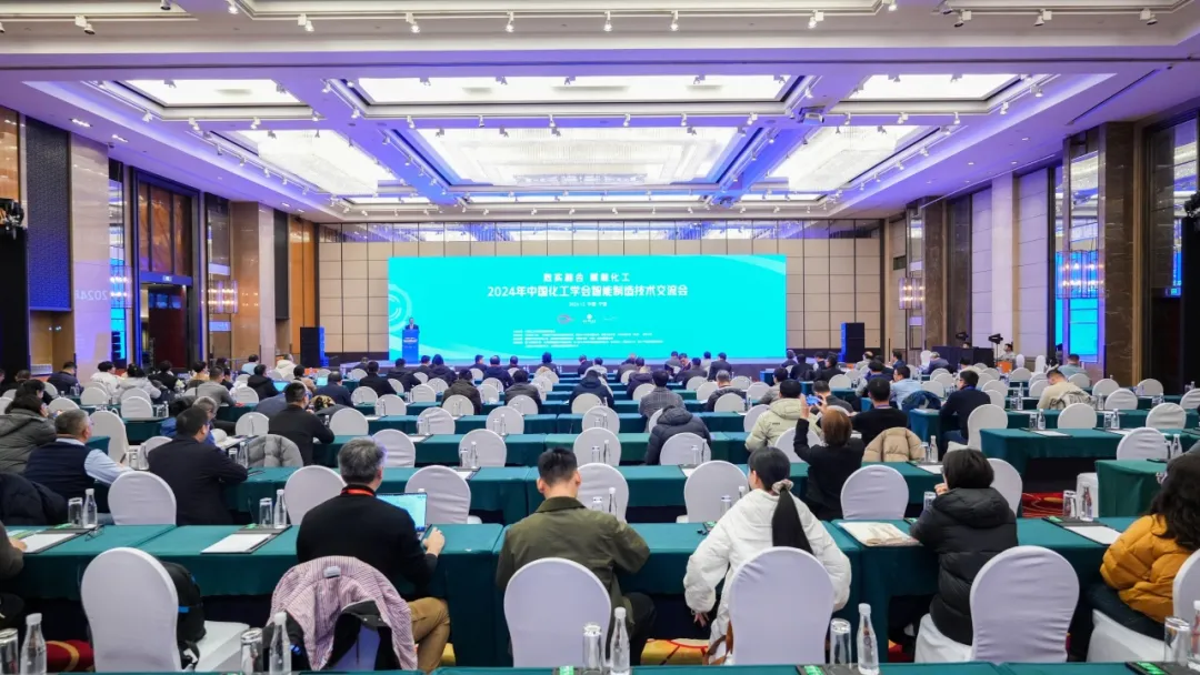 万物向新 秉势而行 | 龙八国际股份2024年第四季度动态速览