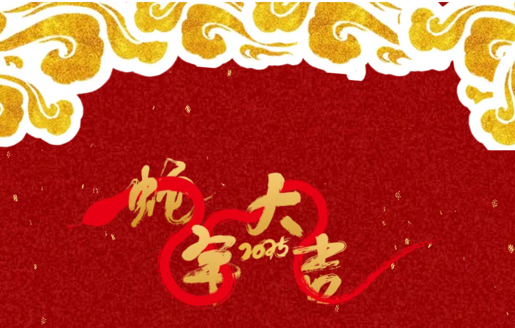 锐意突破 新征启程 | 龙八国际股份2025年会盛典顺利召开